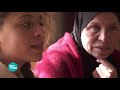 Palestine : La peste blonde - L’Effet Papillon