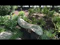 🌹 Tour of My Friend's Perennial Garden | Wow! | Fountains, Japanese Garden w/ Stream, White Garden