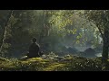 Meditation Relax Mind Body | Soft Background Music | Zen Chill Music  Solitude Meditation