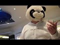 Panda Mask in the Mall