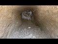 Building an earthen shelter in a clay mountain | Warm fireplace and reed roof