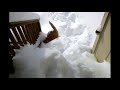 Throwing my cat into the snow.