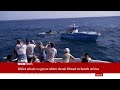Killer whale hunts and eats great white shark | BBC News