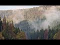 Sagen aus dem Schwarzwald: Folge 51 - Der Teufel kommt um die Beute
