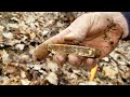 Metal Detecting Encounters Part 1 Finds and Places