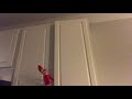 The hungry Elf on the Shelf