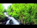 Soothing Relaxation Music ✨ Relaxing Piano Music
