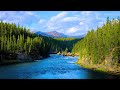 4K Yellowstone Mountain River Ambience | Relaxing Nature Sounds for Sleep & Study