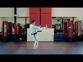 Do-San 도산 | Orange Belt Taekwondo America Form