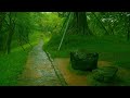 Rain and thunder sounds for sleeping black screen 3 hours - Sleep and Meditation