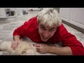 SURPRISING STEPHEN WITH A PUPPY!! (EMOTIONAL)