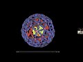 Does the Flower of Life challenge Physics? What we didn't know!