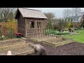 Weekly Garden Tour / Daffodil Meadow, Raised Bed Garden Redesign, Cottage Garden in Early Spring