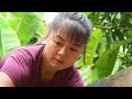 Harvesting A Lot Of Mussels Underneath The Mud Go To Market Sell || Phuong Free Bushcraft