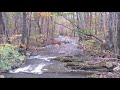 Autumn Mountain Forest River 2!