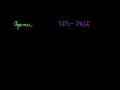 Gel electrophoresis | Chemical processes | MCAT | Khan Academy