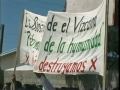 10th Anniversary: The Battle for Laguna San Ignacio