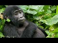 Uganda 4K - Scenic Relaxation Film With African Music