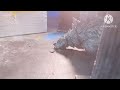 Godzilla vs Mechagodzilla | Stop-Motion Test