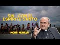 Sin - Con el Espíritu Santo | Mons  Munilla