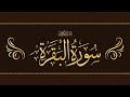 Surah Al Baqarah Full|Fast Tilawat|Heart Touching Recitation|Surah Baqarah Fast Recitation|tilawat