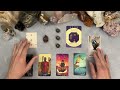💘🥰 What Does Your Crush LOVE About You? 💘🥰 tarot pick a card