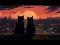Sunset on the rooftop 🌇 Lofi cat • Lofi hiphop to Chill