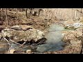 Arkansas Creeks / Hiking along Little Cow Creek