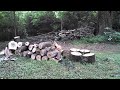 Pile from tulip poplar