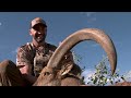 Texas Test Drive | Hunting Aoudad with Hornady's 7mm PRC