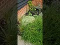Raining English Garden