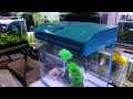 Unboxing CR-380 Aquarium | Imported Fish Tank | Modular Glass Aquarium | #tank #fishtank #amazing