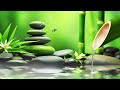 Relaxing music Relieves stress, Anxiety and Depression 🌿 Heals the Body and Soul - Deep Sleep #10