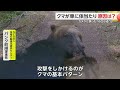 【恐怖】ヒグマが“猛スピード”で車に体当たり　逃げても追いかけてくるクマに「また来た！ヤバいぜ！」　北海道・根室市（2024/4/29放送）