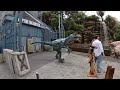 Raptor Encounter at Universal Studios Hollywood