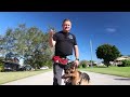 HOW TO STOP DOG PULLING ON LEASH - 10 minutes to 