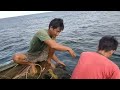 WOW AMAZING, tradisional fishing mini trawl catch