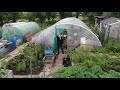Cheap Polytunnels | Polytunnel Upgrade | Protect your Tunnel | How to strengthen your tunnel
