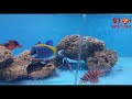 Aqua Planet Aquarium Fish Shop