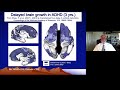 ADHD & Executive Functioning -  Part 2 -  Neuroanatomy of ADHD