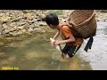 Primitive fish catching skills, an orphan boy caught a 4kg carp to sell