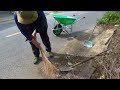 We volunteered to clean up the trash-filled Lawn from the sidewalks for a satisfying transformation