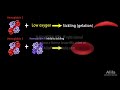 Sickle Cell Disease, Animation