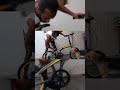 Minha Bike Dobrável