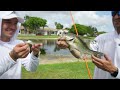 Building POND MONSTER Mini Pond Filled With Exotic WILD FISH!