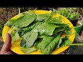 Grow Spinach in Waste Bottle and Get 5 Harvest Easily | FULL UPDATES