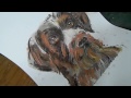 how to...portrait of your pet..dogart
