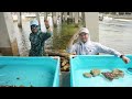 TIDE POOL SALTWATER PONDS With SEA CREATURES Found In BEACH ROCKS!