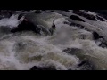 Some fun at the Cossatot Falls, Friday 8/1/2014