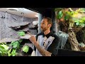 Top 5 Vivarium Paludarium Air Circulation Tips. DIY How To Make A Fan With A Mistking Nozzle.